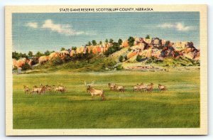 1940s SCOTTSBLUFF COUNTY NEBRASKA STATE GAME RESERVE ELK LINEN POSTCARD 46-124