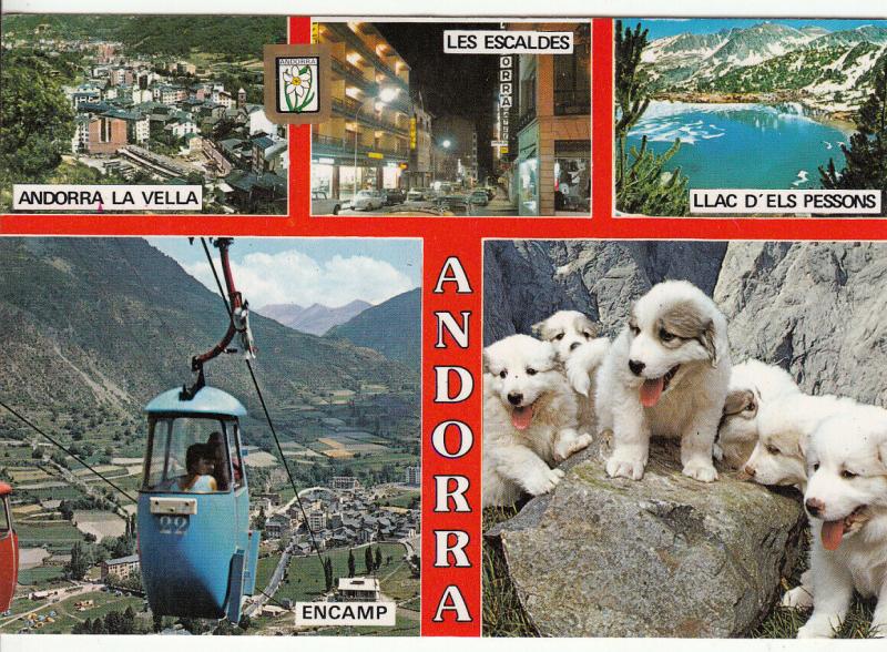 Andorra multi views puppy dogs cable car postcard