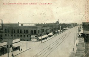 C.1910 Ludington Street, Escanaba, Mich. Postcard P172