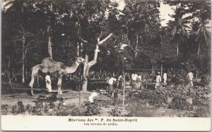 Senegal Missions des P.P. du Saint Esprit Les Travaux du Jardin Postcard 09.21