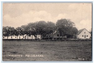Denmark Postcard Vielsted Mollegaard Building Houses View c1910 Unposted
