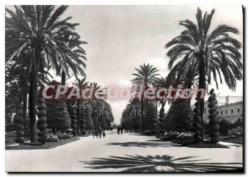 Postcard Modern Paeque Genoves Cadiz