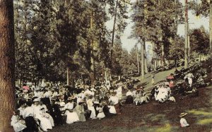 Natatorium Park, Spokane, Washington c1910s Vintage Postcard