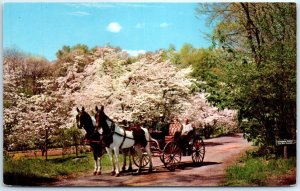 A Leisurely Way to Enjoy the Country, The Homestead - Hot Springs, Virginia 