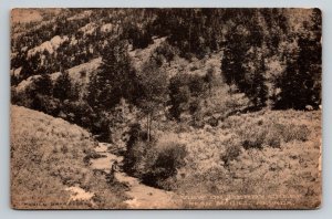 Berry Creek   McGill  Nevada   Postcard