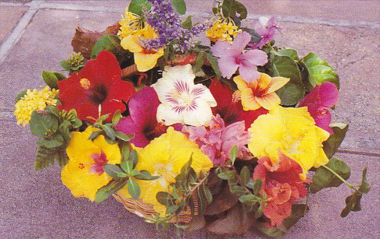 Basket Of Tropical Flowers Antigua West Indies