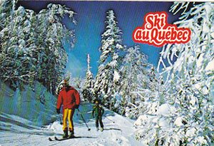 Cross-Country Skiing Quebec Canada