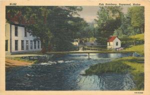 United States Fish Hatchery Raymond Maine