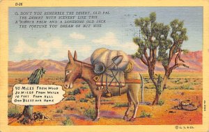 Joshua Palm and Lonesome Old Jack Donkey 1950 