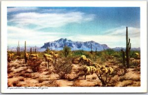 Mesa Arizona AZ, Desert Scene & Superstition Mountain, Saguaro Cactus, Postcard