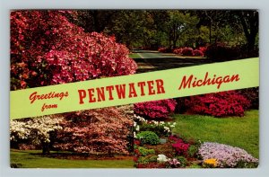 Pentwater MI, Banner Greetings, Scenic Road View, Chrome Michigan c1969 Postcard