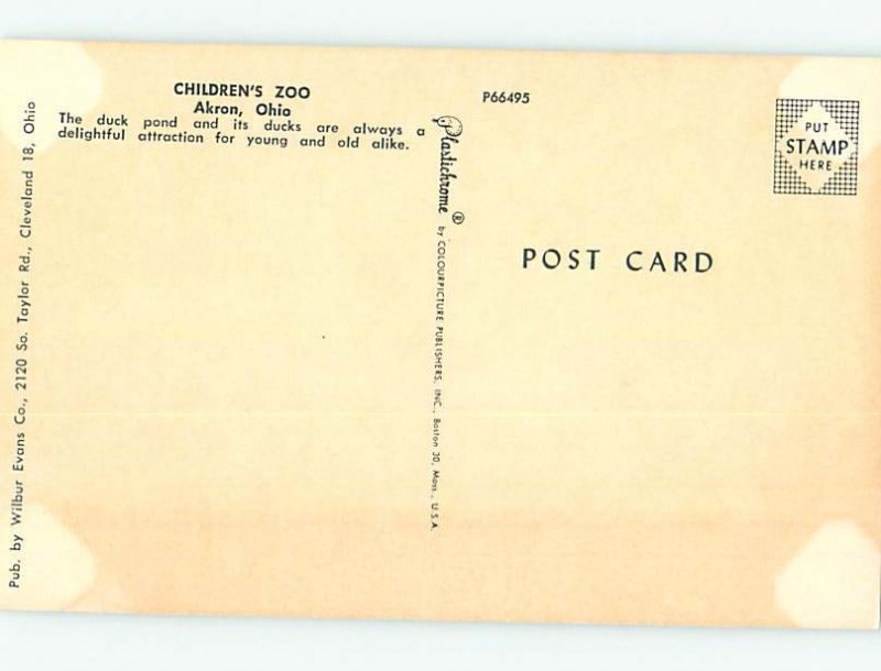 Chrome ZOO SCENE Akron Ohio OH AG1602