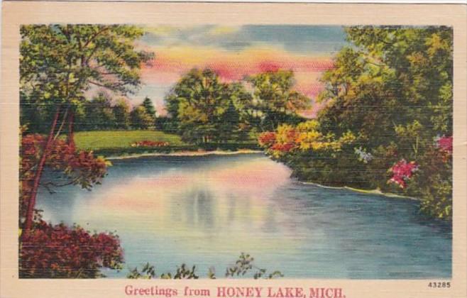 Michigan Greetings From Honey Lake 1947