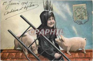 Postcard Old Child Pigs Pigs