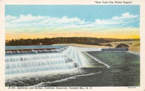 A-102 Spillway and Bridge Ashokan Reservoir New York