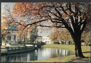 New Zealand Postcard - Christchurch, Canterbury    LC4214