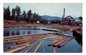 OR/WA - Typical Sawmill & Log Pond