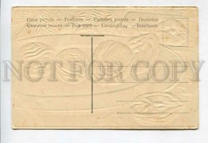 426985 RUSSIA Happy New Year metamorphic walnuts Vintage Embossed postcard