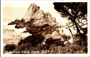 RPPC, Pt. Lobus State Park CA c1944 Vintage Postcard J65