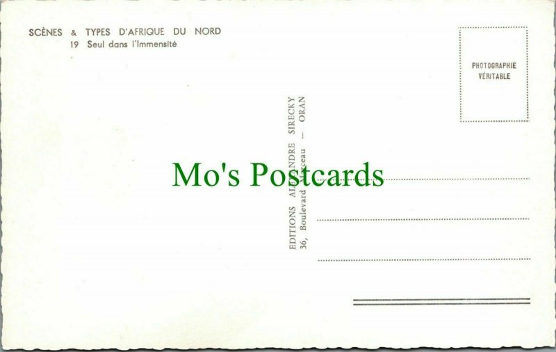 Animals Postcard - Camel - Scenes & Types D'Afrique Du Nord  RS26581