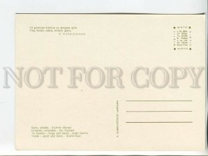 463601 USSR 1966 year Lithuania TRAKAI postcard