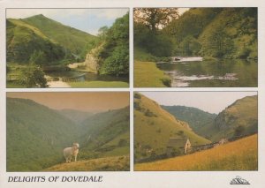 Derbyshire Postcard - Views of The Delights of Dovedale  RR9998