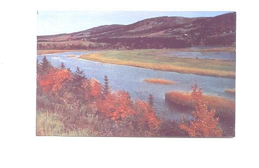 Margaree River, Cape Breton, Nova Scotia,