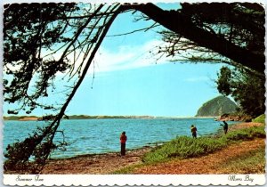 Postcard - Summer Fun - Morro Bay, California