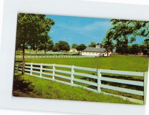 Postcard Picturesque Horse Farm, Lexington, Kentucky