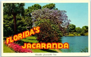 Postcard - Jacaranda Tree (Acutifolia) In Full Bloom - Florida