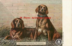 Advertising Postcard, Bell-cap-sic Plasters Pain Reliever, Dogs