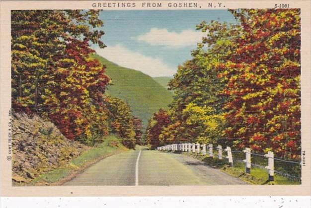 New York Greetings From Goshen Curteich