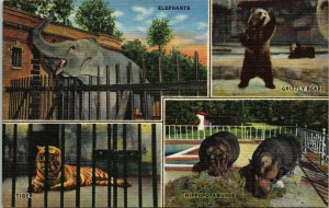 Memphis Zoo Multiview Elephant Tiger Bears Hippos Linen Postcard VTG UNP Unused