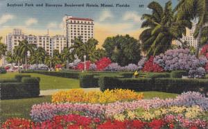 Bayfront Park Flowers Biscayne Boulevard Hotels Miami FL Florida pm 1948 - Linen