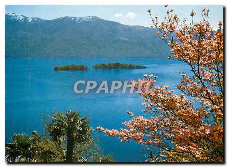 Postcard Modern Brissago Lago Maggiore