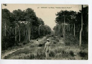 3133110 FRANCE ROYAN Le Parc Perdus dans la Foret Vintage PC