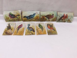 Lot Of 9 Victorian Scrap Trade Cards Wild Birds Goura Coronata Etc CA87