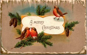 Vtg 1907 Merry Christmas Birds and Pine Cones Embossed Postcard