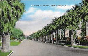 North Central Avenue Palm Lined Street Dividing Streets From Avenues Phoenix AZ