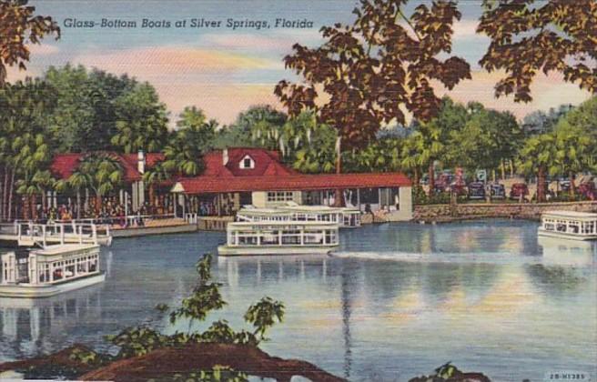 Florida Silver Springs Glass Bottom Boats Curteich