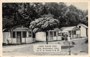 H83/ New Rochester Ohio Postcard c1940s Dew Drop Inn US Route 23   29