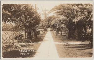 Texas Tx Real Photo RPPC Postcard c1920s SAN BENITO View Palms Trees