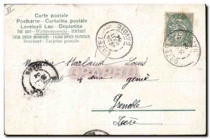 Old Postcard Insect