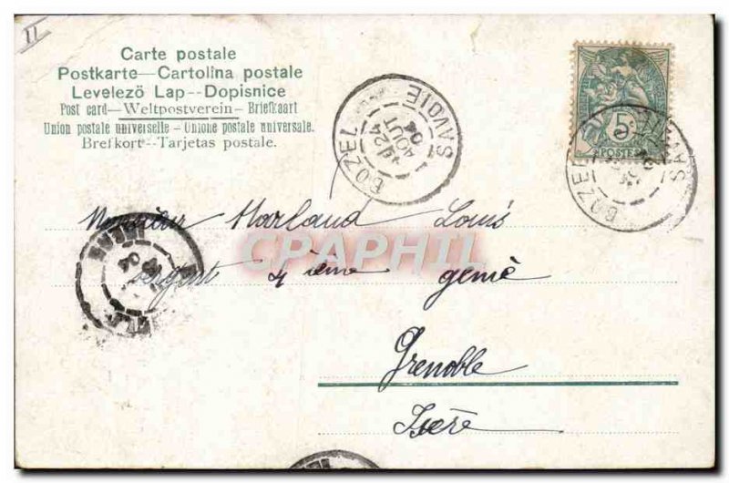 Old Postcard Insect