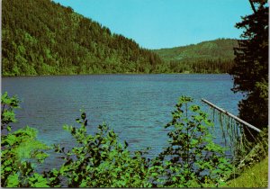 Cameron Lake Vancouver Island BC Unused Vintage Postcard F44