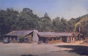 BIG SUR, CA California RIVER INN Monterey County c1940s Chrome Vintage Postcard