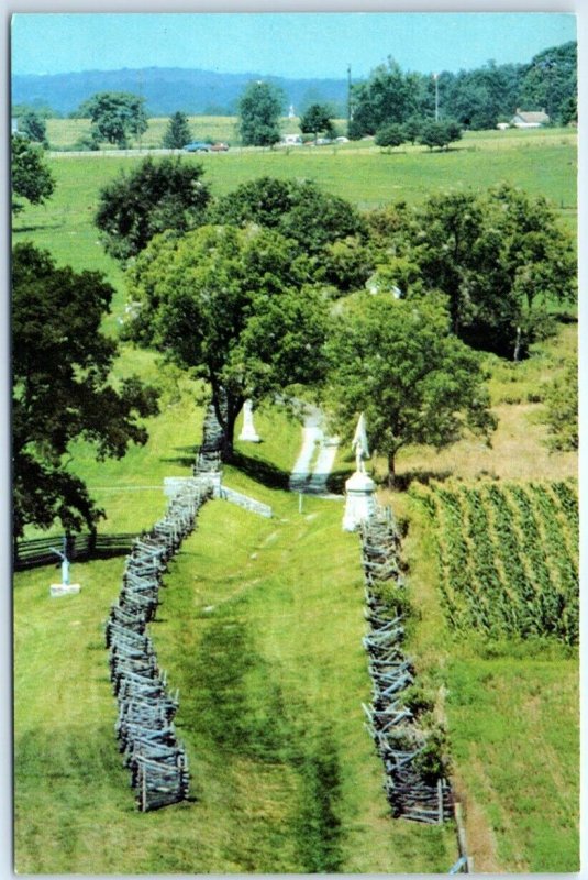 Postcard - Bloody Lane, Antietam National Battlefield Park - Sharpsburg, MD 