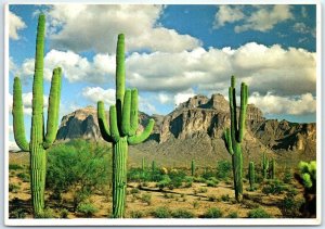 Postcard - Superstition Mountain - Mesa, Arizona