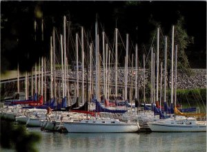 KY, Trigg County  KENTUCKY LAKE SAILBOATS By James Archambeault  4X6 Postcard