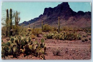 Tucson Arizona AZ Postcard Picacho Peak Desert Highway 84 1958 Vintage Antique